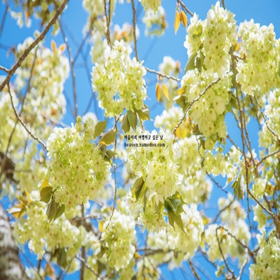 4월에 가볼만한 국내 여행지 베스트10