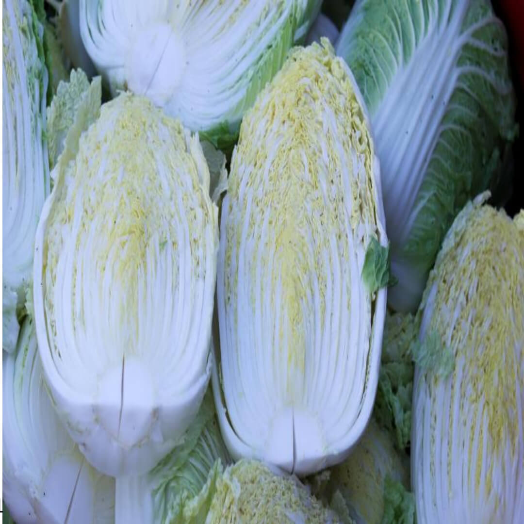 김장김치 10kg 가격 및 파는곳 정리