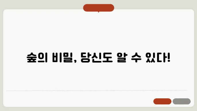 임업이란?