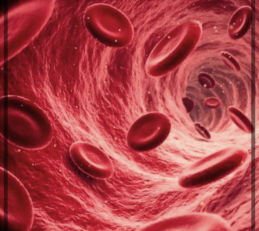 뇌 해면상 혈관종의 원인, 발생 이유 및 치료 방법에 대한 총정리.