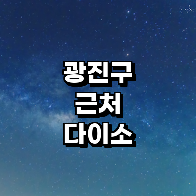서울 광진구 종합생활용품 다이소