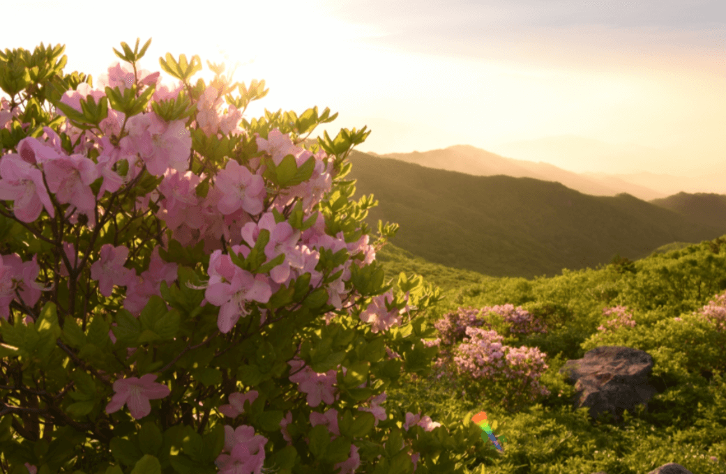 5월 경상도 여행 추천 가볼만한 곳&amp;#44; 축제 일정 