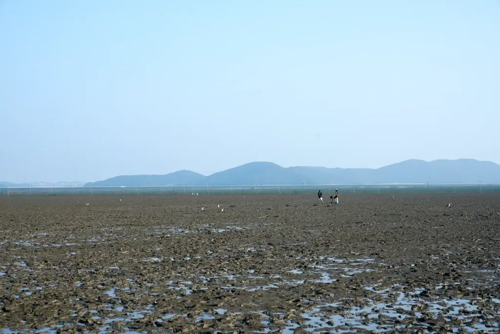 동막해수욕장 모습들