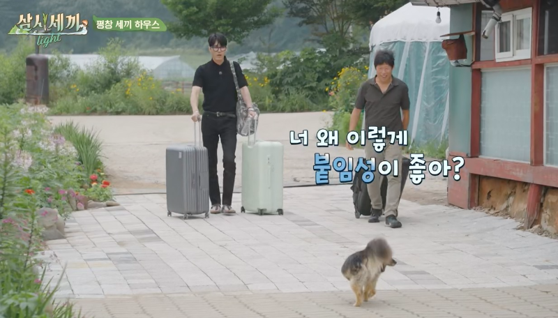 삼시세끼 라이트 평창 집