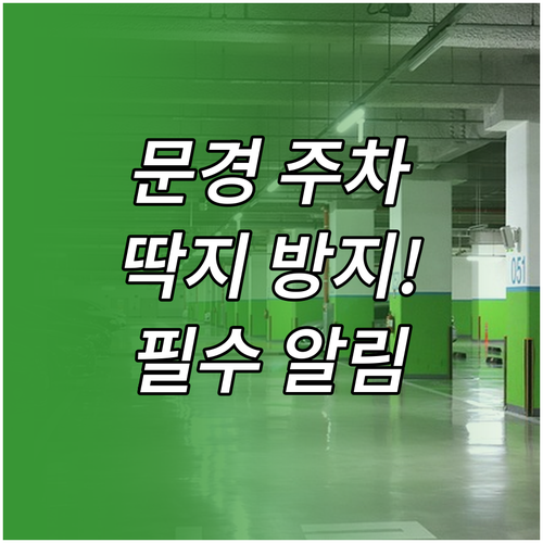 문경 불법 주정차 단속 문자 알림 서..