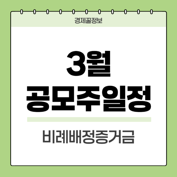 3월공모주일정