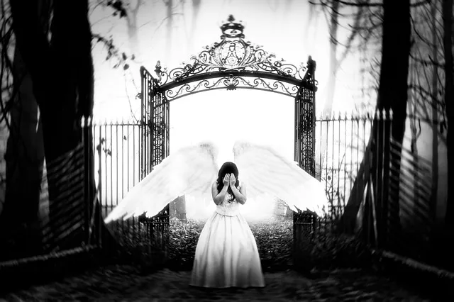 물이 세다 새다 맞춤법 맞는 표현_5