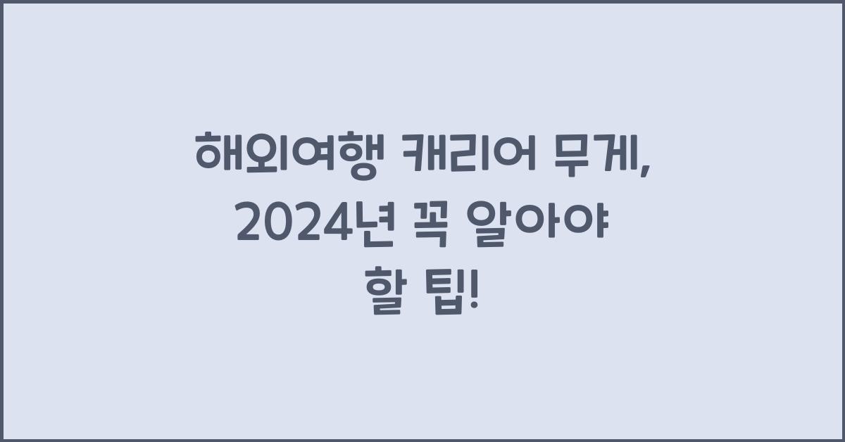 해외여행 캐리어 무게