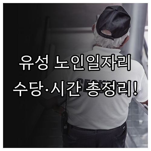 대전 유성구 노인일자리 유형별 활동 ..