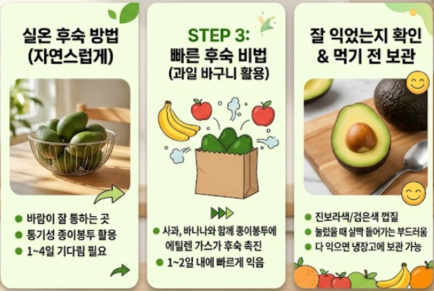 아보카도 보관법