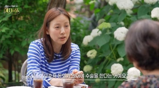 이효리 개물림 사고