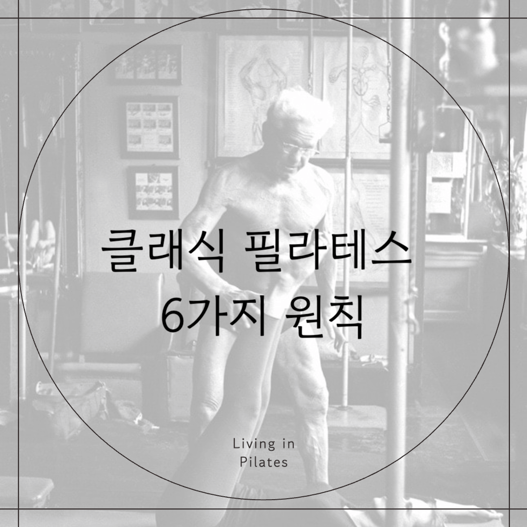 클래식 필라테스 6가지 원칙