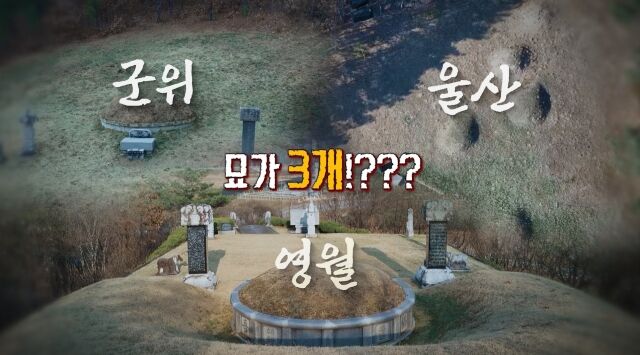 엄흥도 묘소위치: 대구 군위 진묘 논쟁 총정리(영화 왕과 사는 남자 유해진)