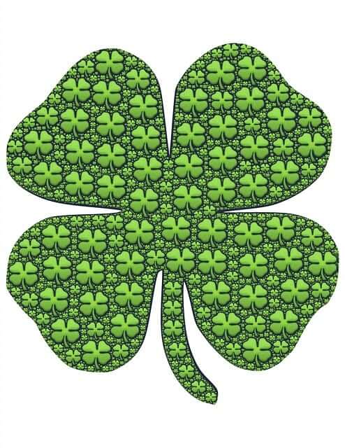 행운의 네잎클로버