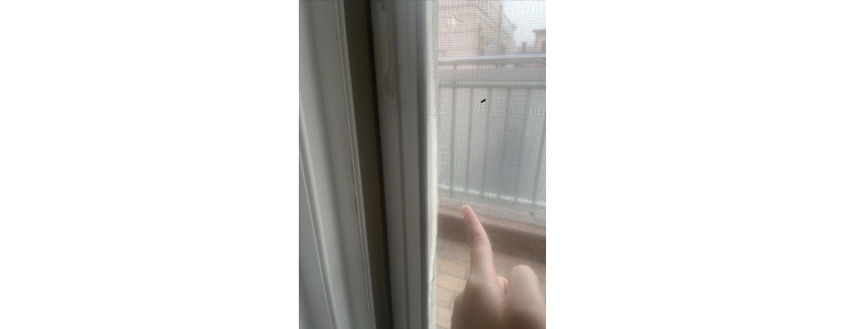 서울 마포구 방충망