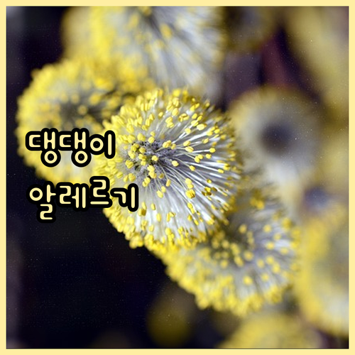 반려견 알레르기 원인부터 관리까지 완