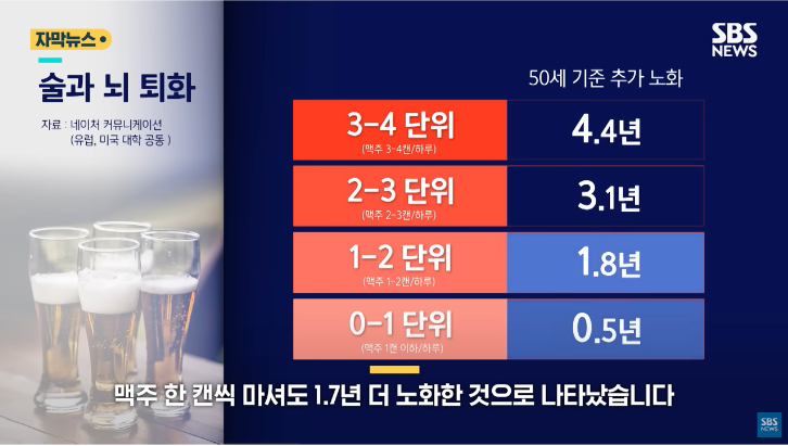 술과 뇌세포