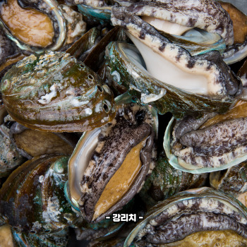 전복 손질하는 법