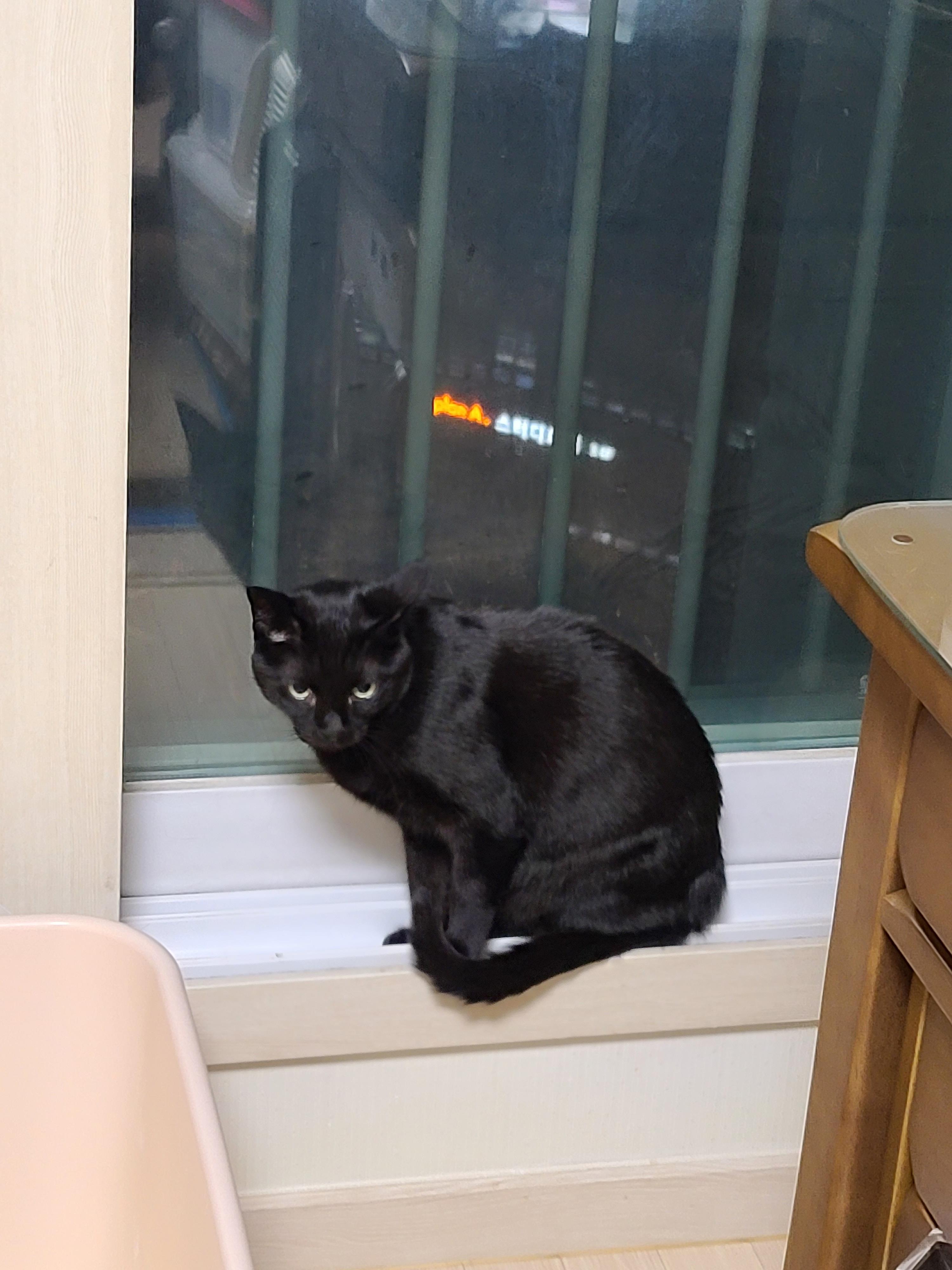 그날이 다가왔다! 아이들 화장실모래전체갈이!!