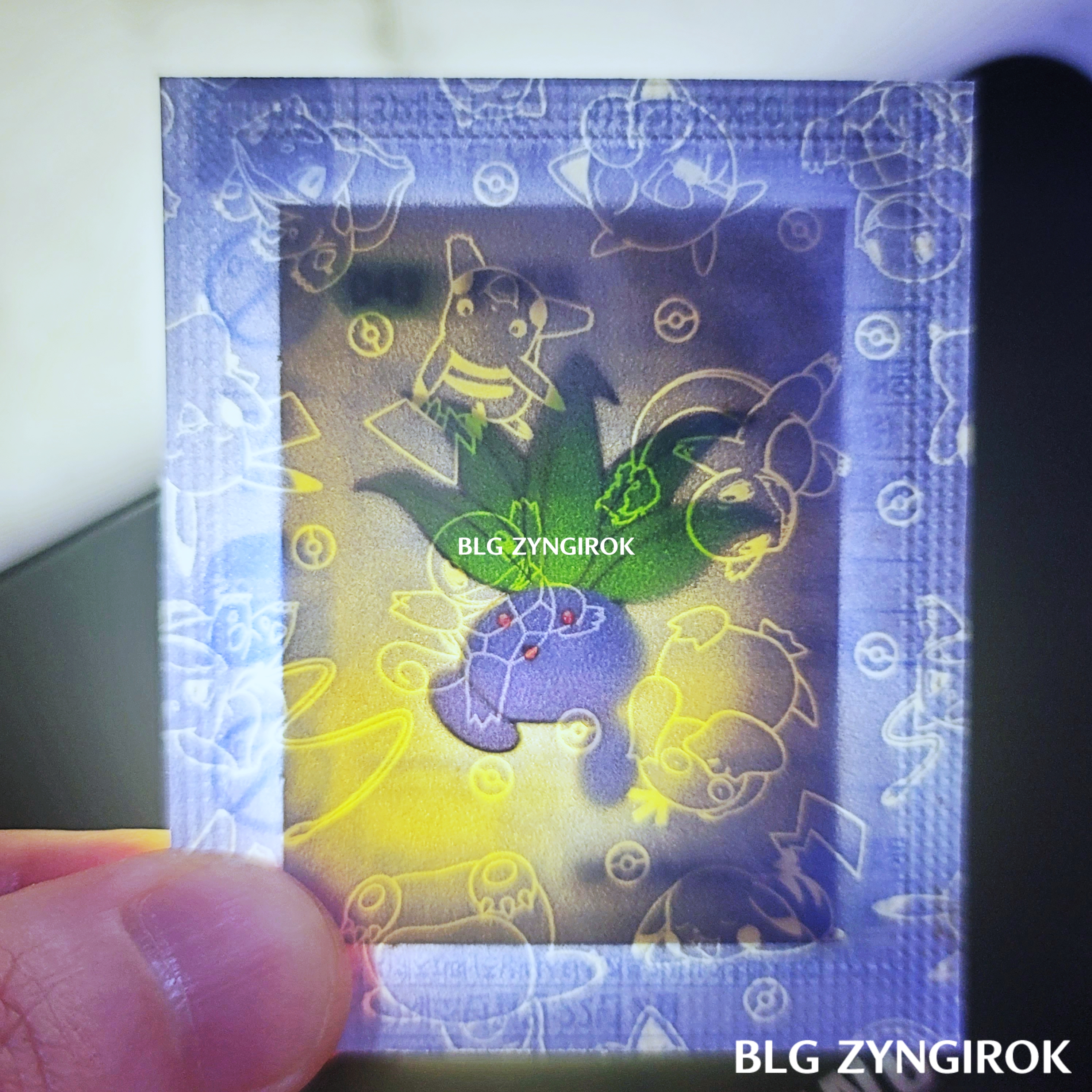 띠부띠부씰-뚜벅초를-들고있다.