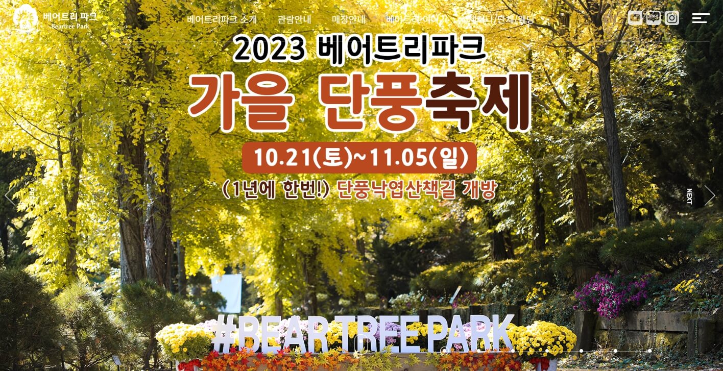 2023 Beartree Park 단풍축제 오픈