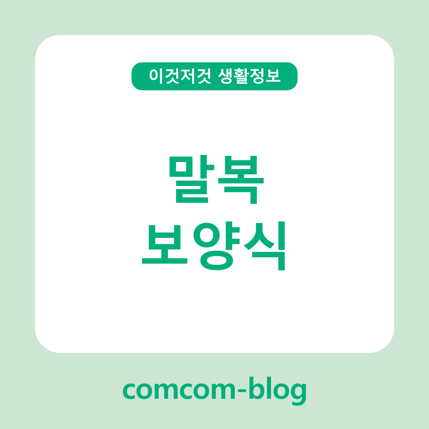 말복, 여름의 끝에서 찾는 진짜 보양의 맛 🍲