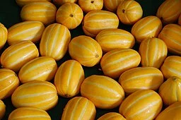 참외-설사하는-이유