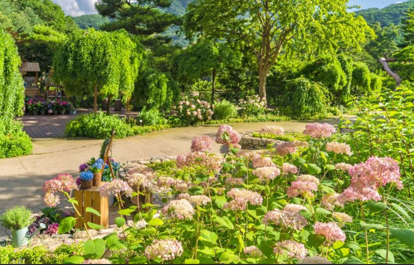 2025년부터 화담숲 예약하기