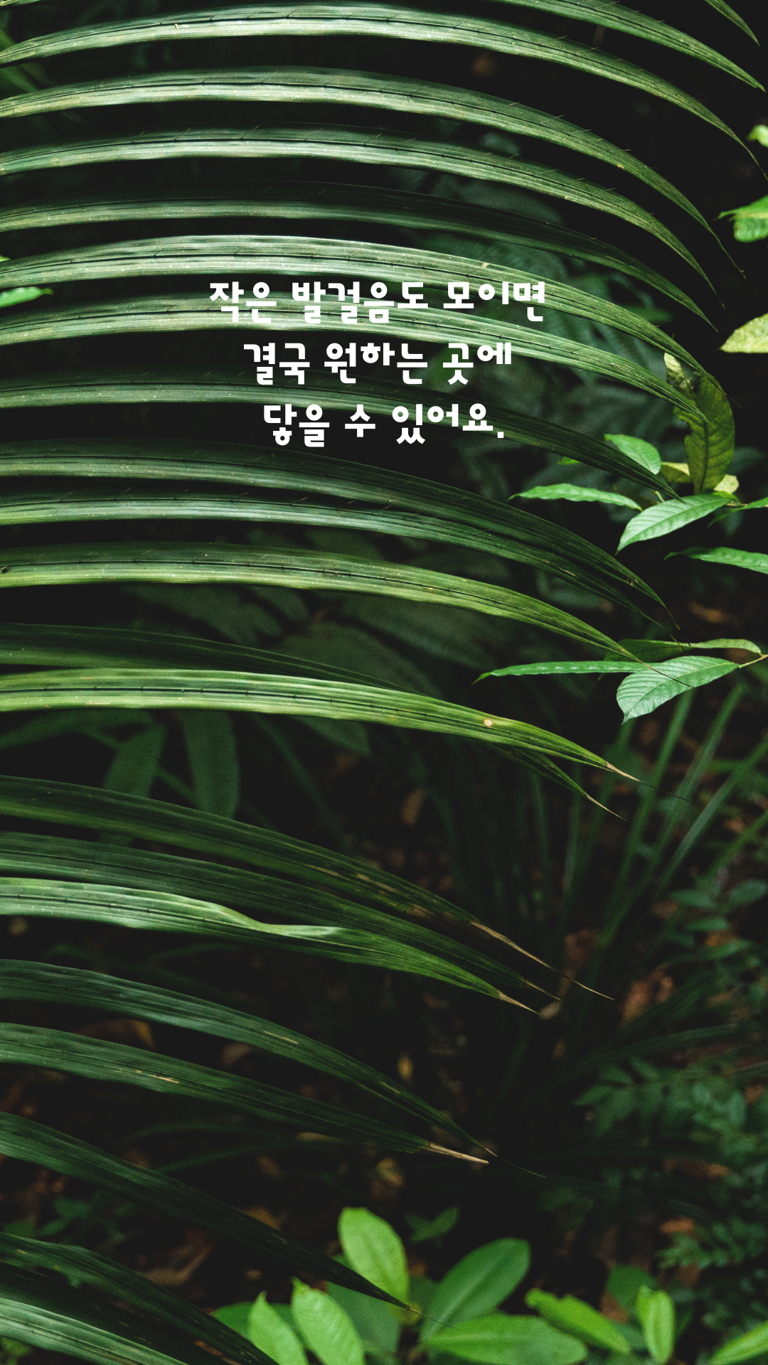 힘들때 위로가 되는 짧은 글귀 이미지 배경 모음