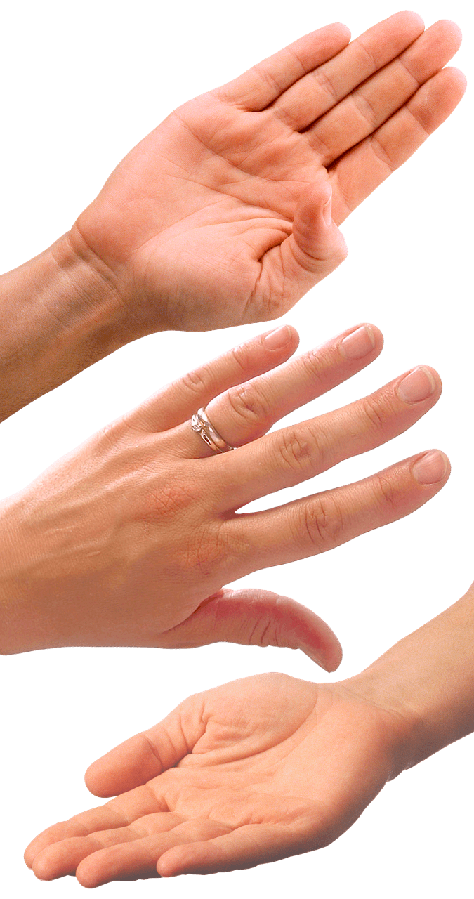 손박닥과 손등을 보여주는 이미지