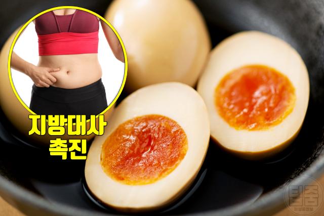 중년뱃살 빼기 음식 추천 달걀