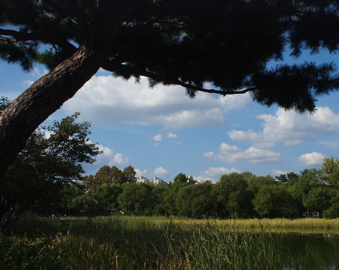 서울숲 사진