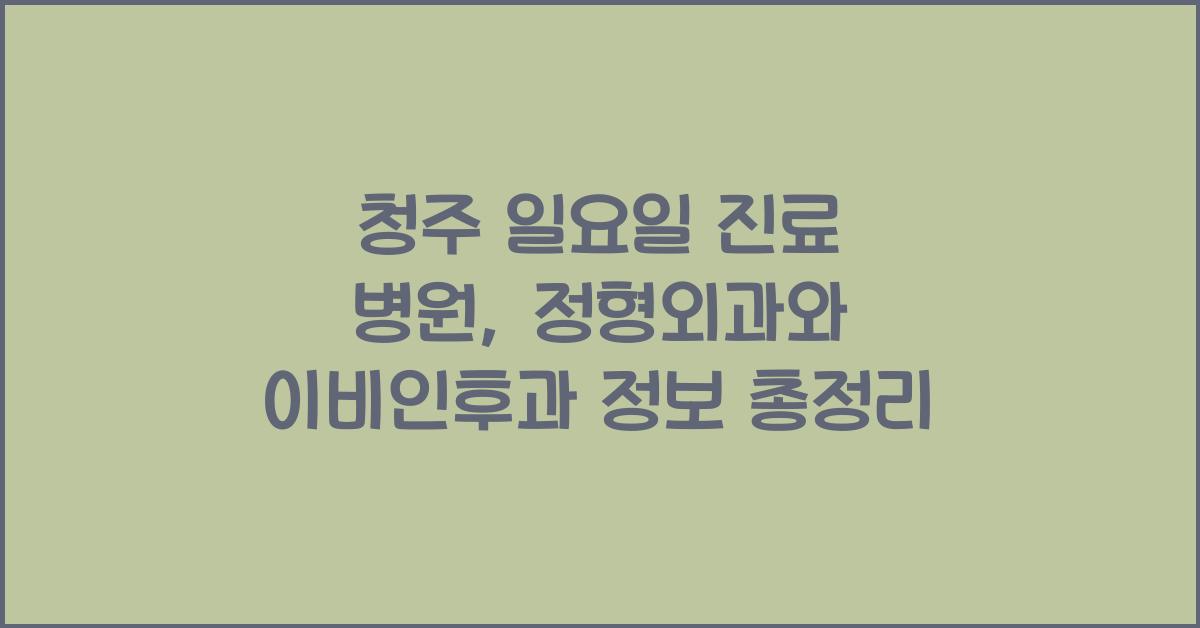 청주 일요일 진료 병원 정형외과 이비인후과