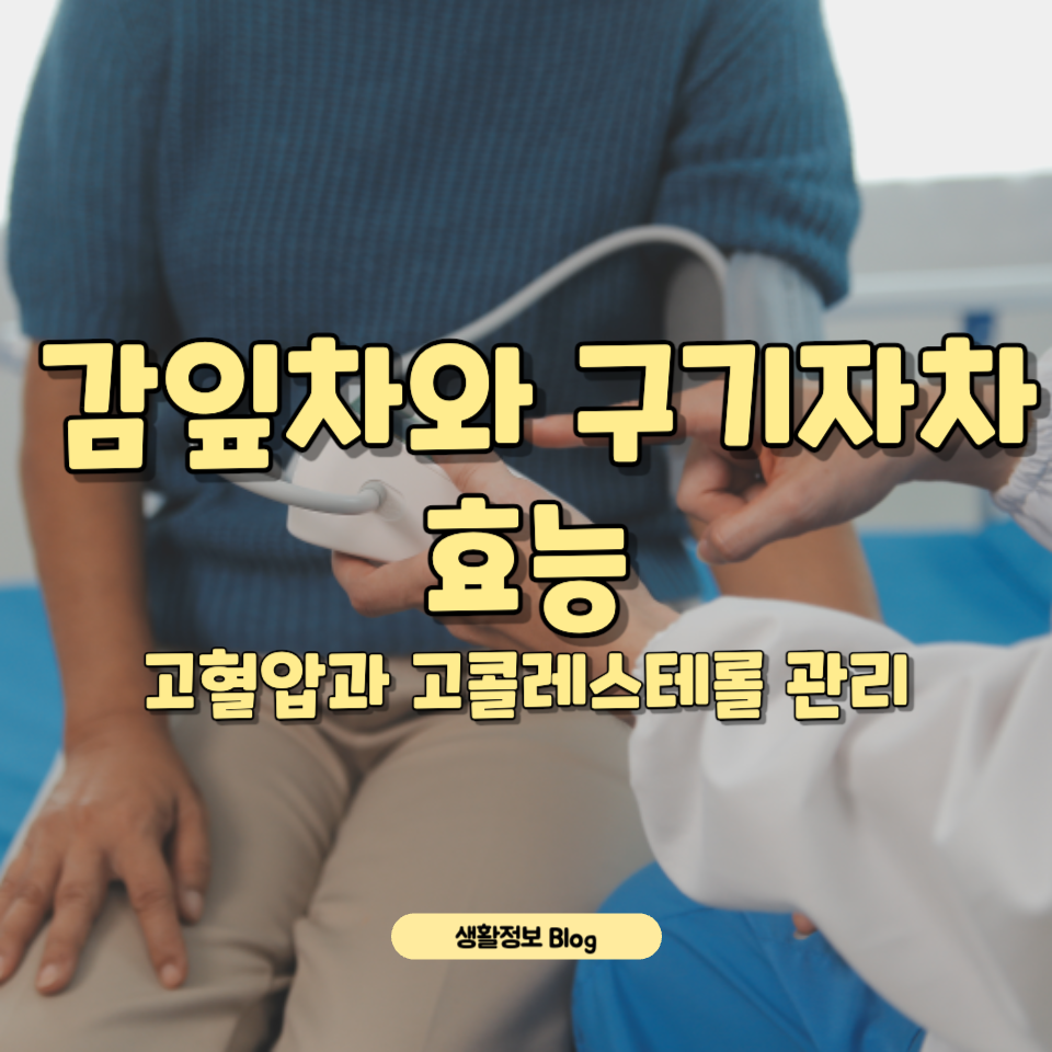 혈압과 콜레스테롤 관리