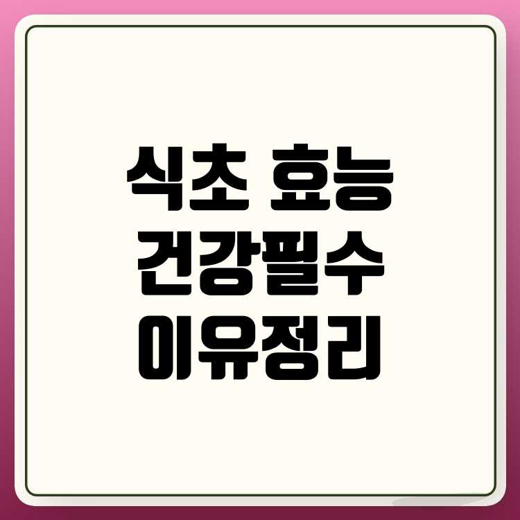 식초 효능 건강 관리에 꼭 필요한 이유