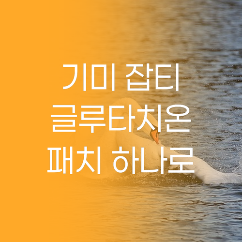 기미, 잡티 이제 안녕! 글루타치온 
