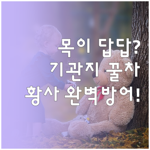 기관지 건강 돕는 차 종류와 황사철 ..