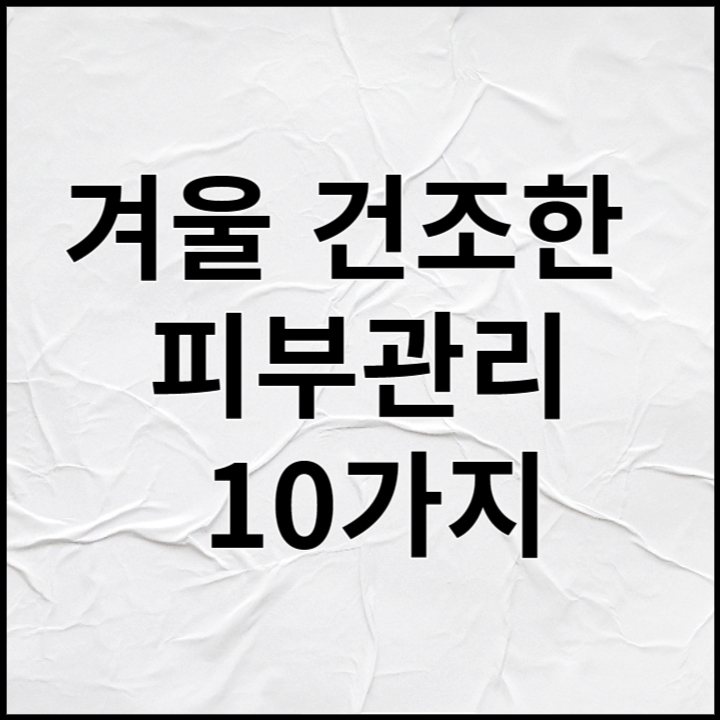 겨울 피부관리