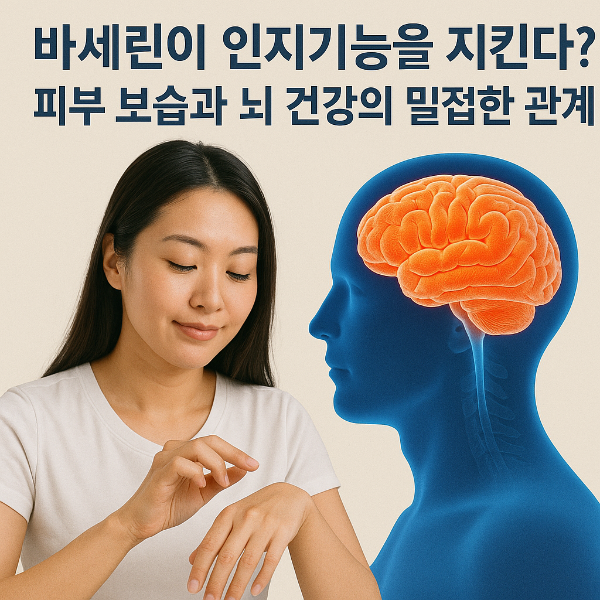 바세린이 인지기능을 지킨다? 피부 보습과 뇌 건강의 밀접한 관계