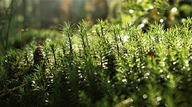 삼성 에어컨 청소서비스