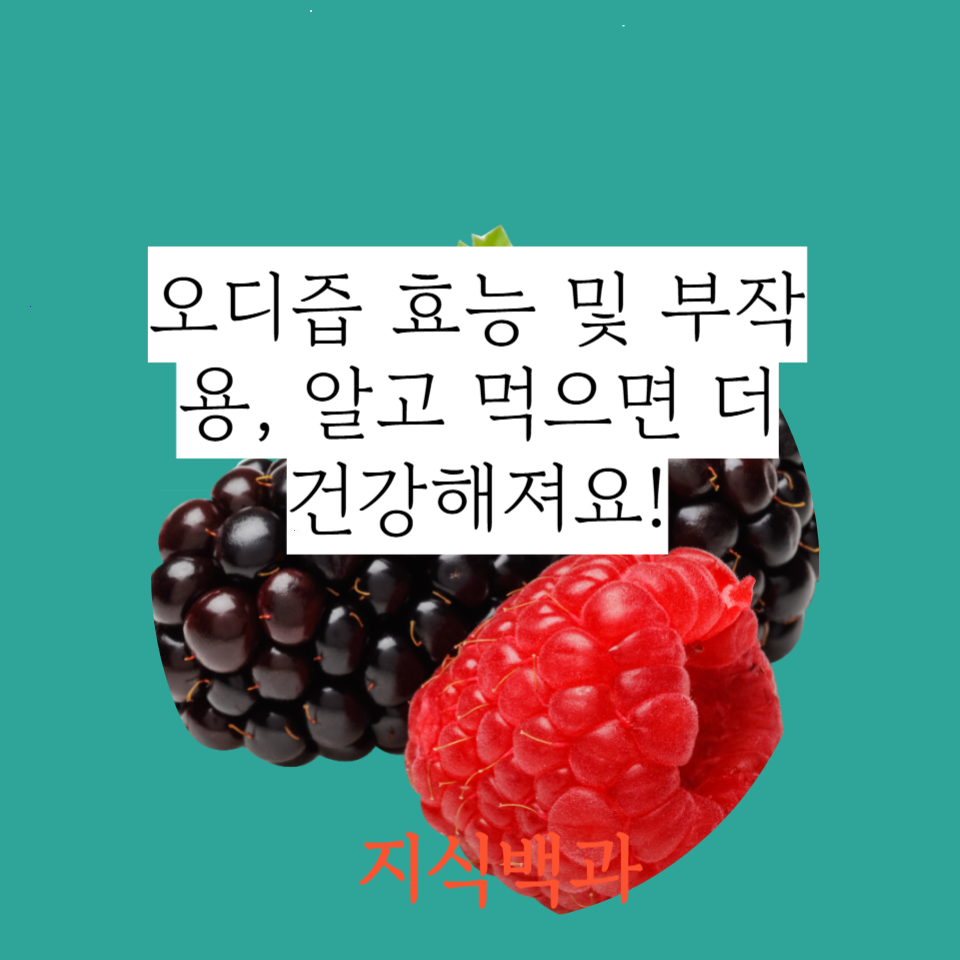 오디즙 효능 및 부작용, 알고 먹으면 더 건강해져요!