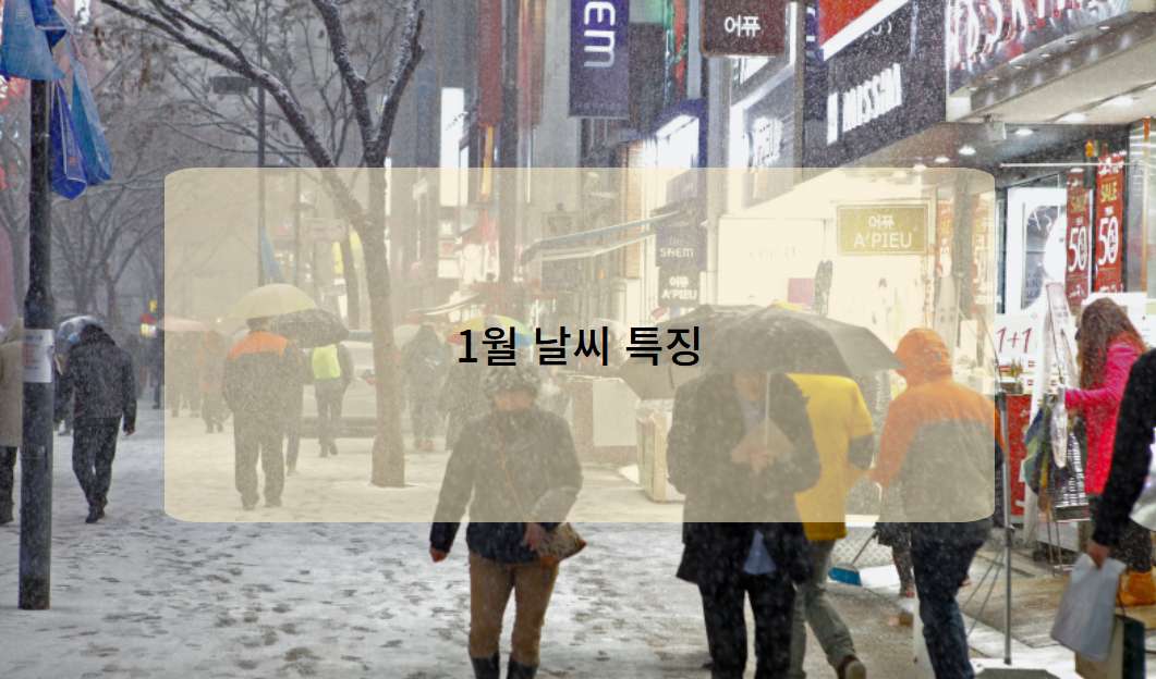 우리나라 1월 날씨 특징