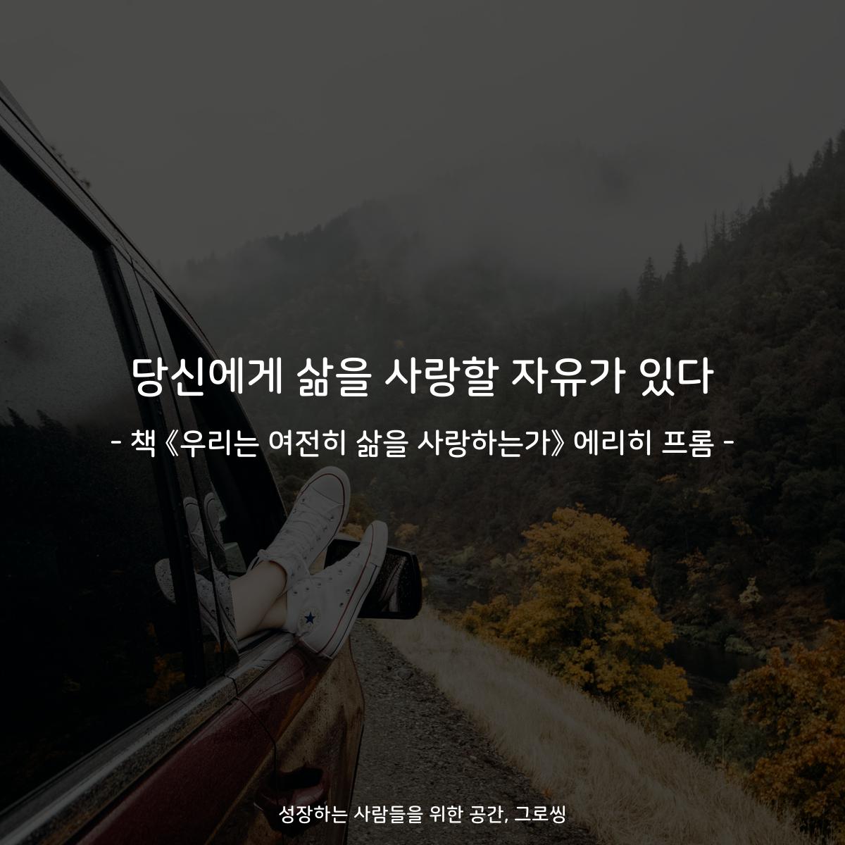 당신에게 삶을 사랑할 자유가 있다