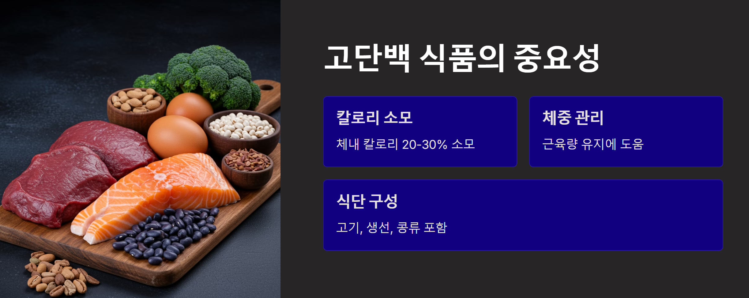 고단백 식품의 중요성