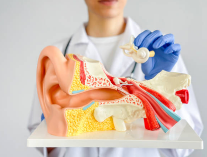 이명 치료 방법, 증상, 원인 총정리 (2024ver)