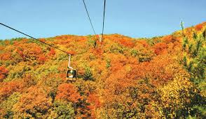 팔공산 단풍 명소