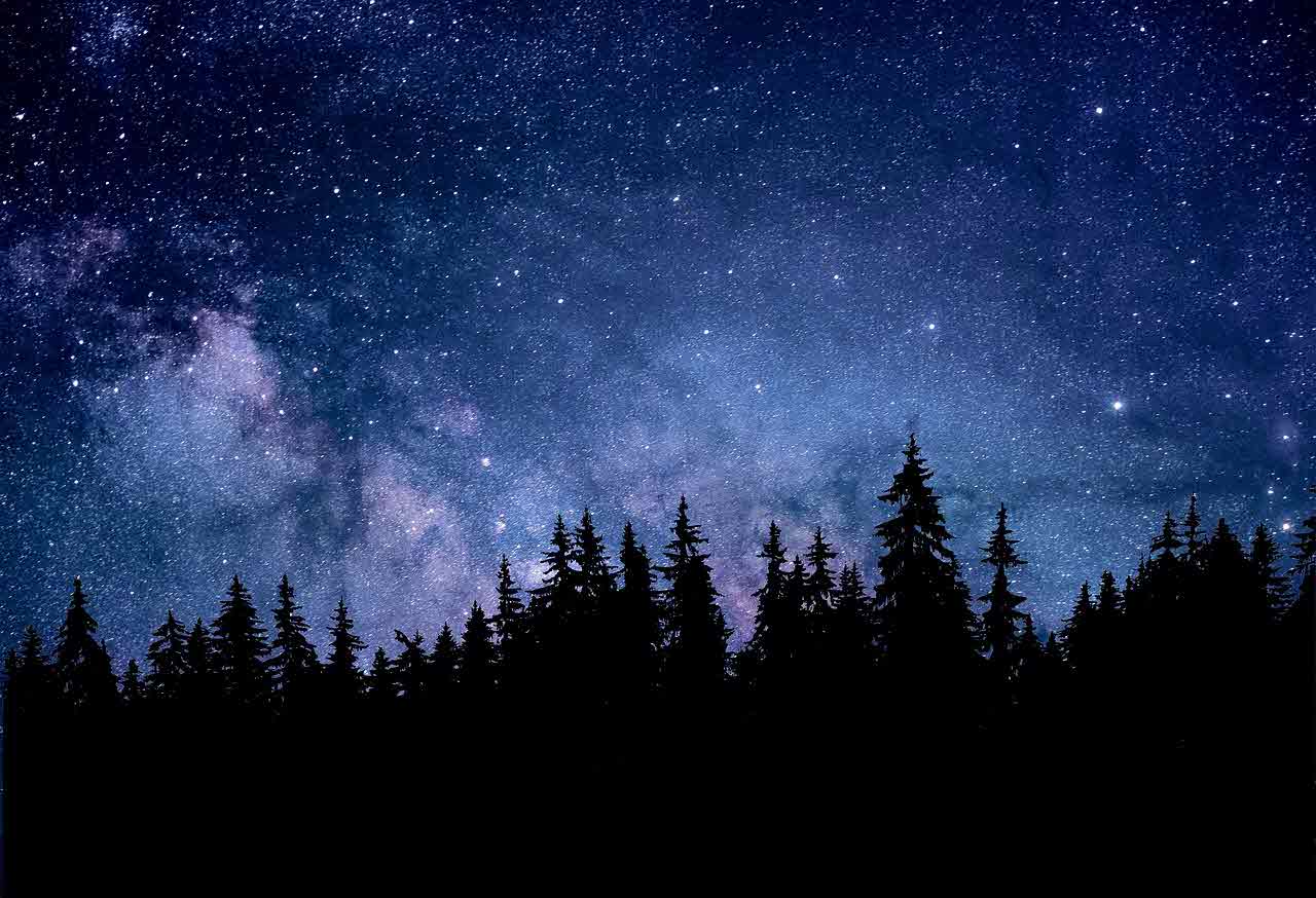 별자리 궁합 – 나와 딱 맞는 별자리는?
