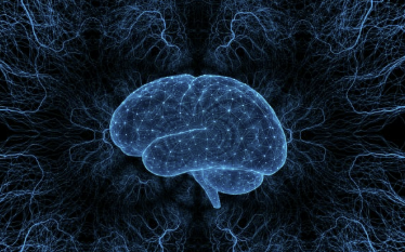 뇌를 바꾸는 마법의 숫자 '50': 당신의 인생이 50일 만에 재설계되는 과학적 이유