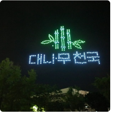 담양 대나무 축제 관련사진