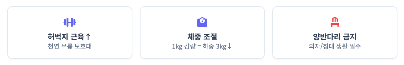 무릎을 지키는 생활 습관 (돈 안 드는 치료법) 인포그래픽